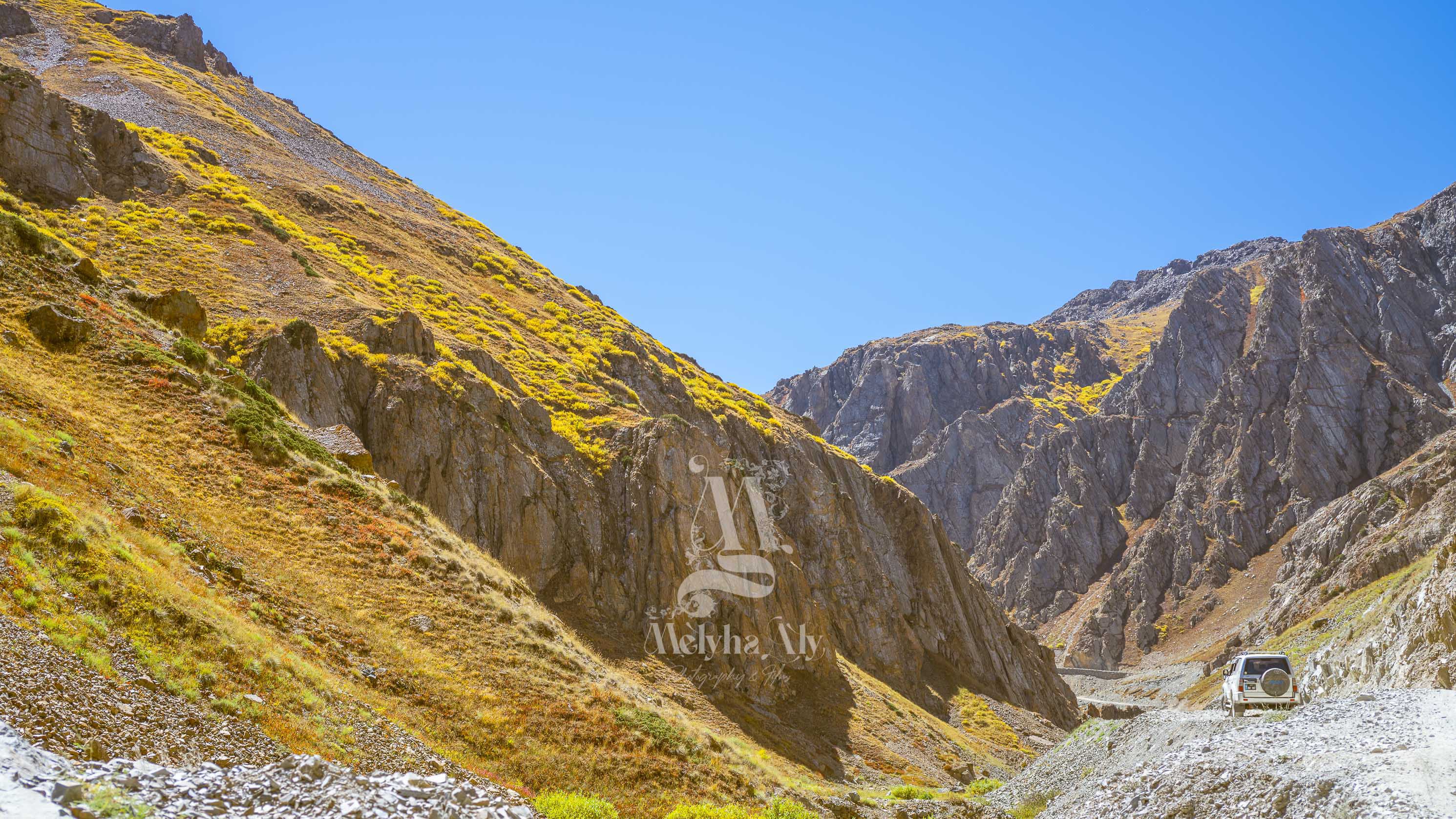 Pathway to Deosai