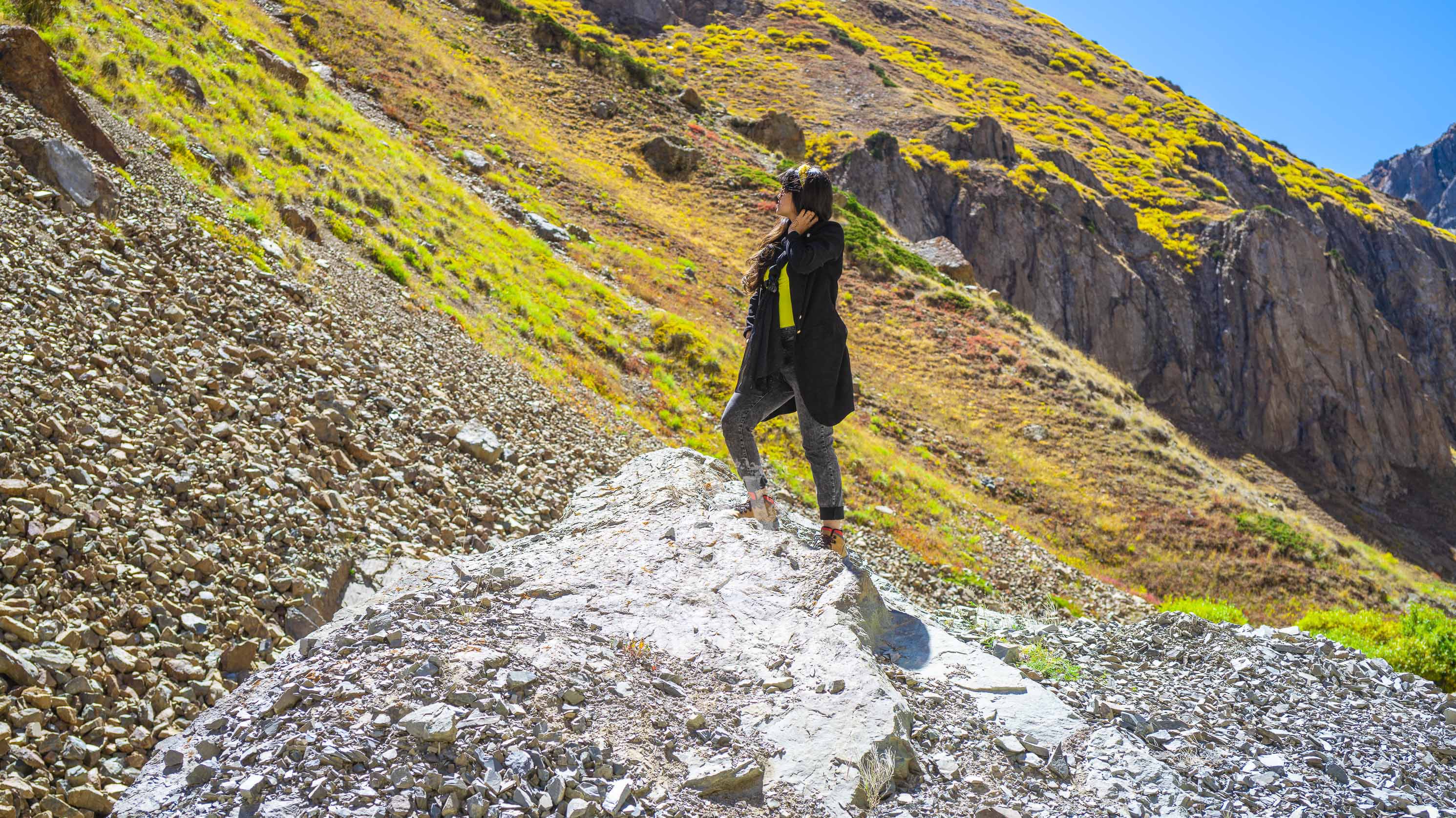 Deosai wilderness