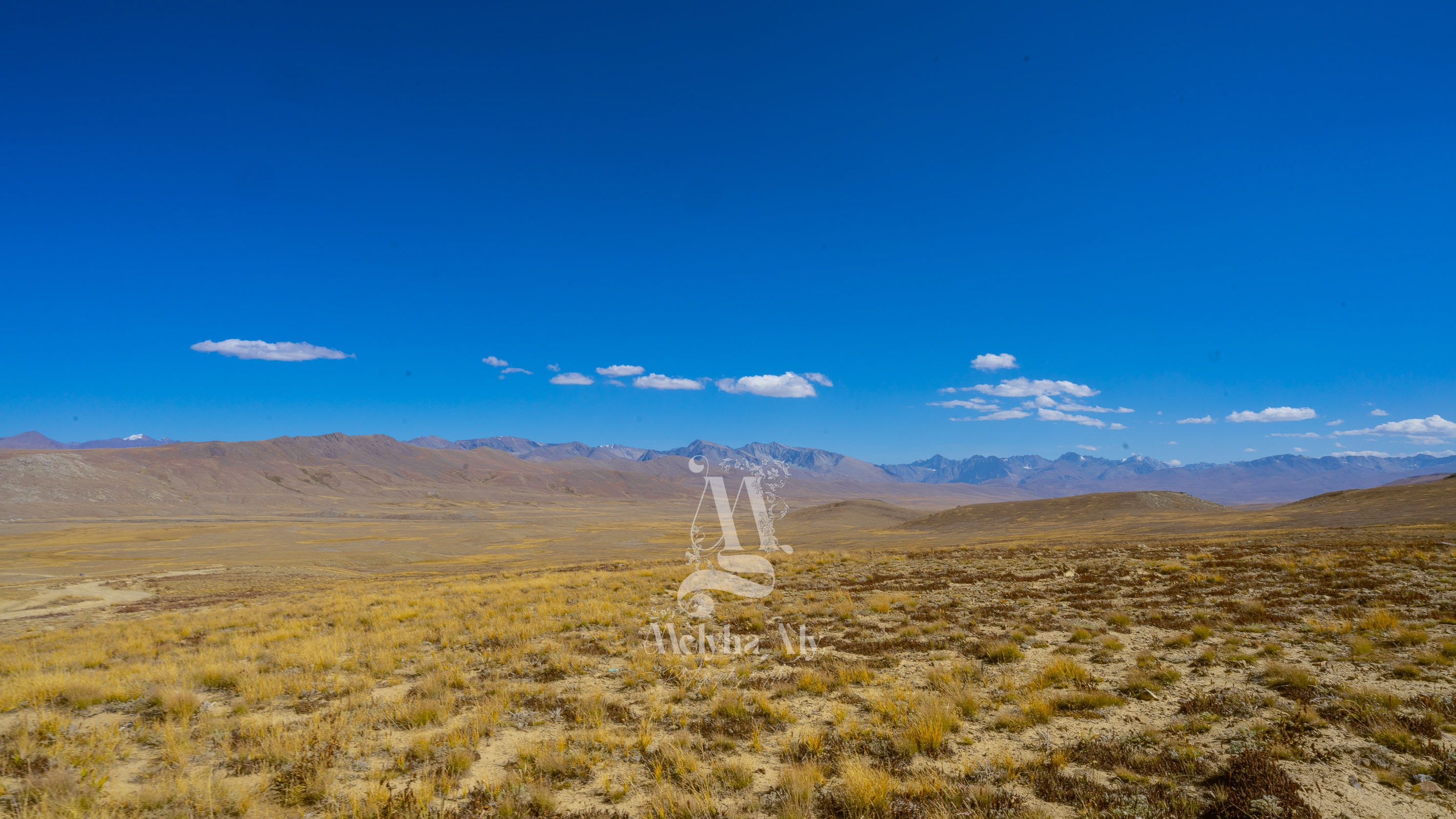Panoramic view of Deosai