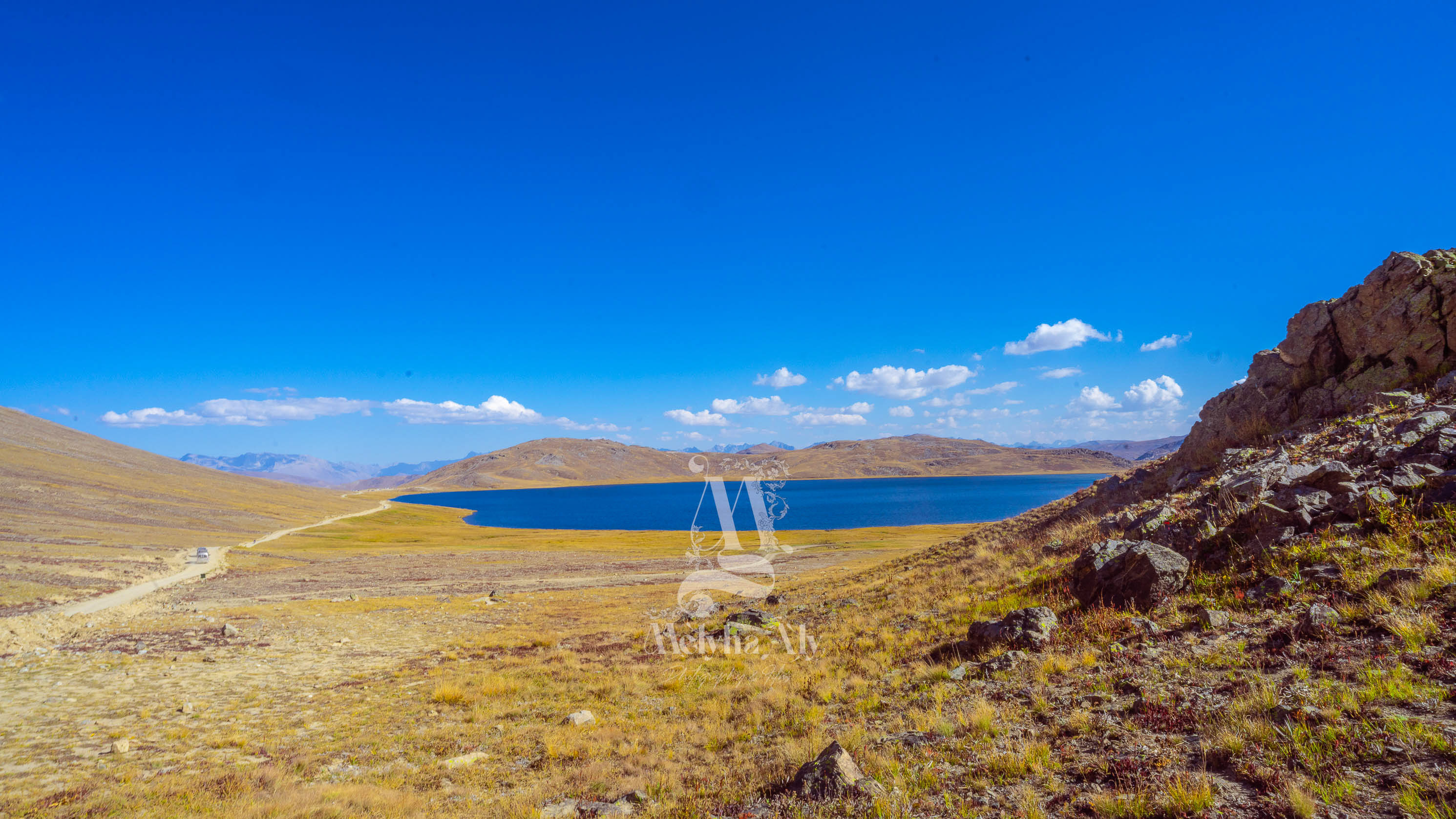 Nature photo
