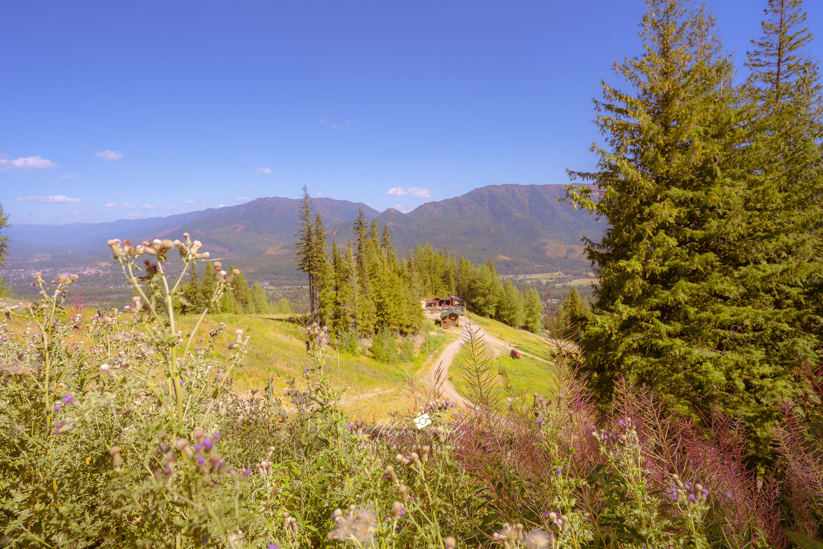 Panoramic view of Fernie, British Columbia showcasing mountain ranges and natural beauty