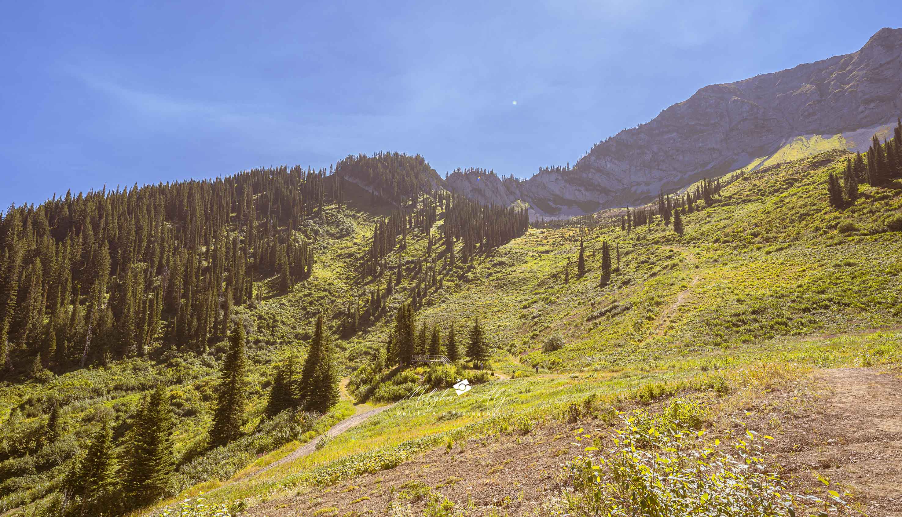 Scenic landscape photography of Fernie's natural environment in British Columbia